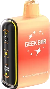 🔥 GEEK BAR Pulse 15.000 Züge – NEU!