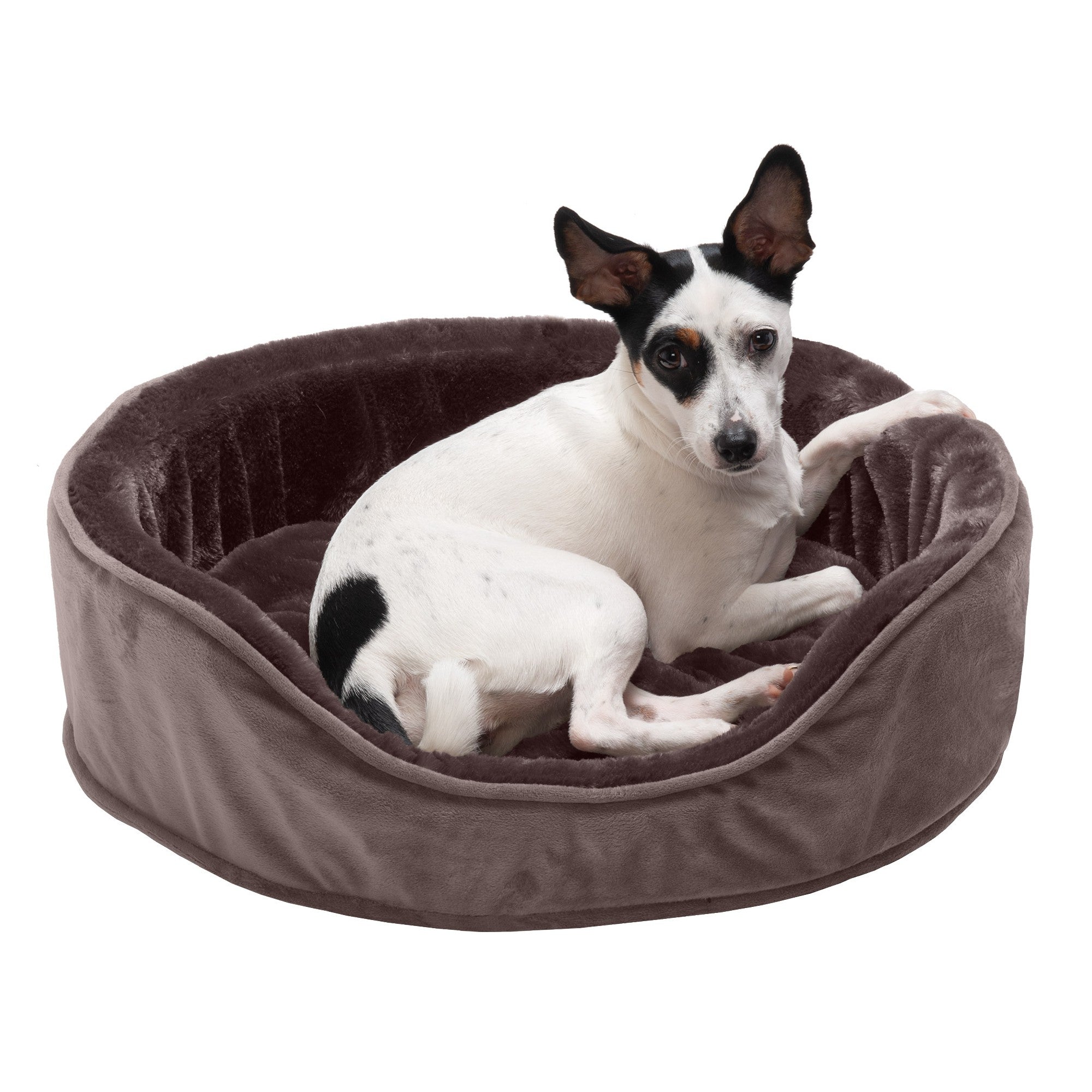 FurHaven | Orthopedic Plush and Velvet Oval Pet Bed for Dogs and Cats， Driftwood Brown， Medium