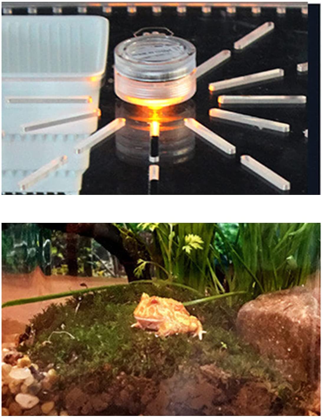 Miumaeov Acrylic Reptile Terrarium Cage Reptile Terrarium Gecko Lizard Snake Spider Pet Cage Tank Durable