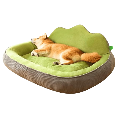 Orthopedic Dog Bed | Washable Anti-Slip Velvet Bed for Small & Large Pets