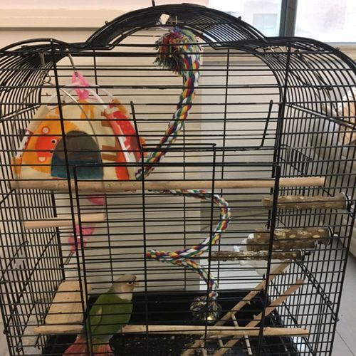 AkoaDa Bird Parrot Perch Cage Swing Rope Climbing Bite Chew Toy Rope Bungee Climbing Ropes，Swing Toys，Spiral Standing Toys