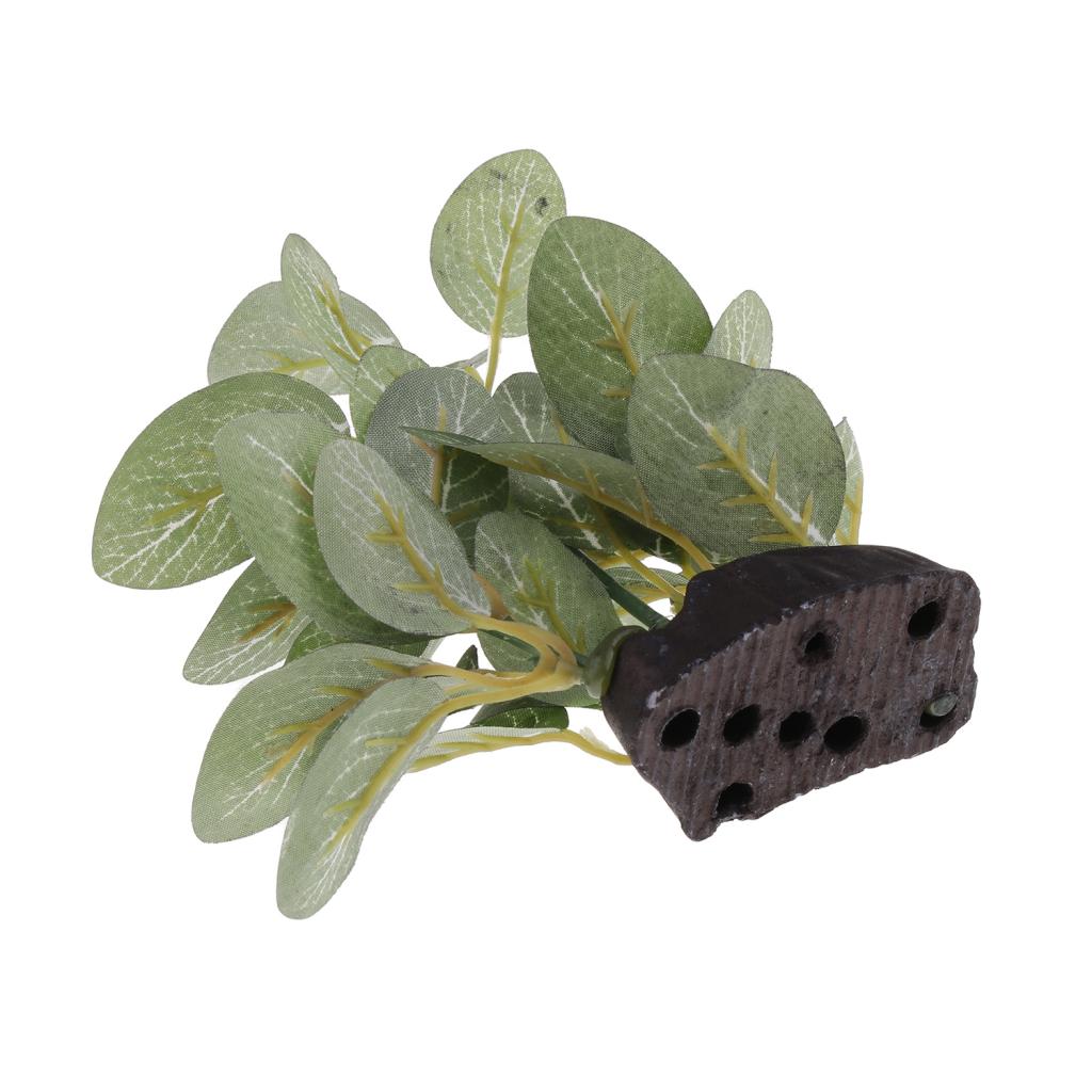 Terrarium Plant Bearded ，Lizards，Geckos， Reptile Habitat Type 2