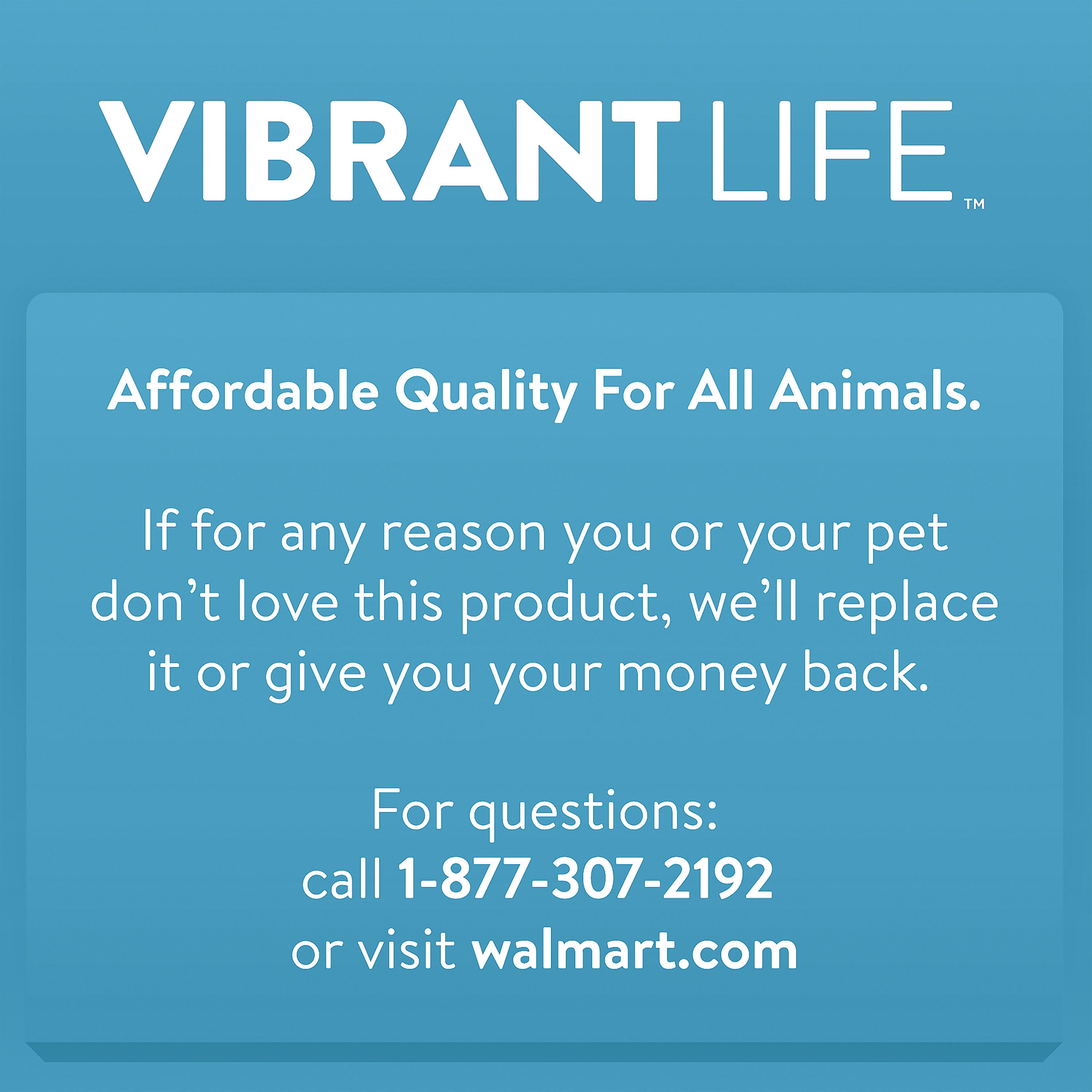 Vibrant Life Deluxe Orthopedic Pet Bed， Small Dog Bed， 18 inches x 24 inches， for Small Dogs