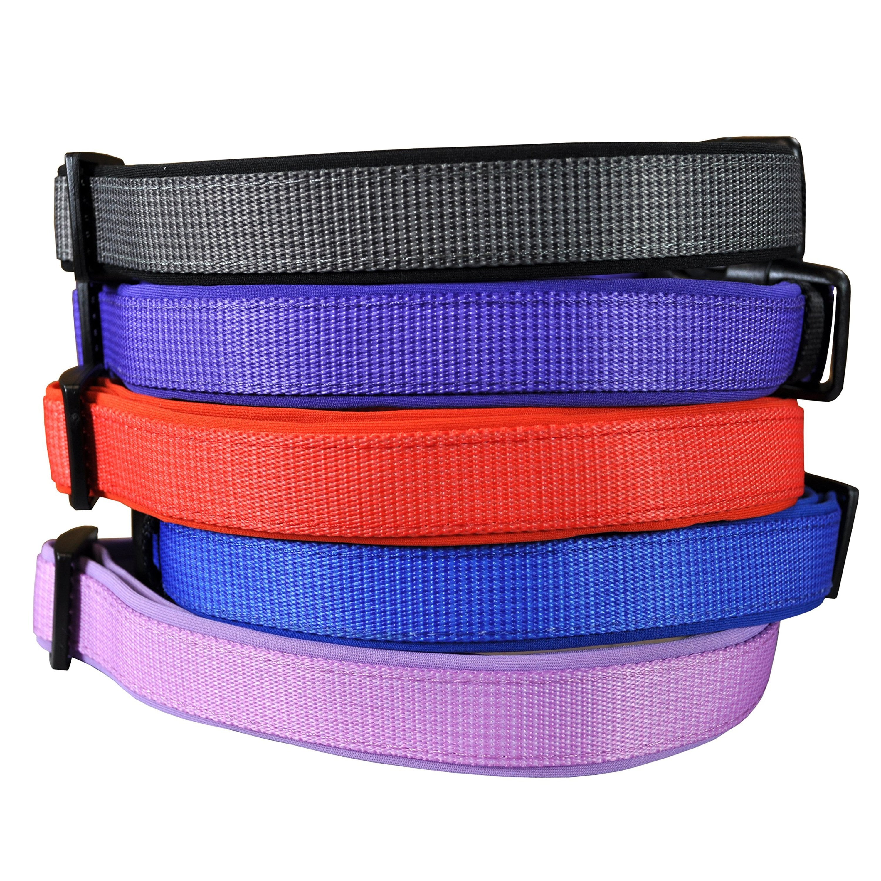 Peak Pooch Dog Collars for Large Dogs Designer Dog Collar Pink， L