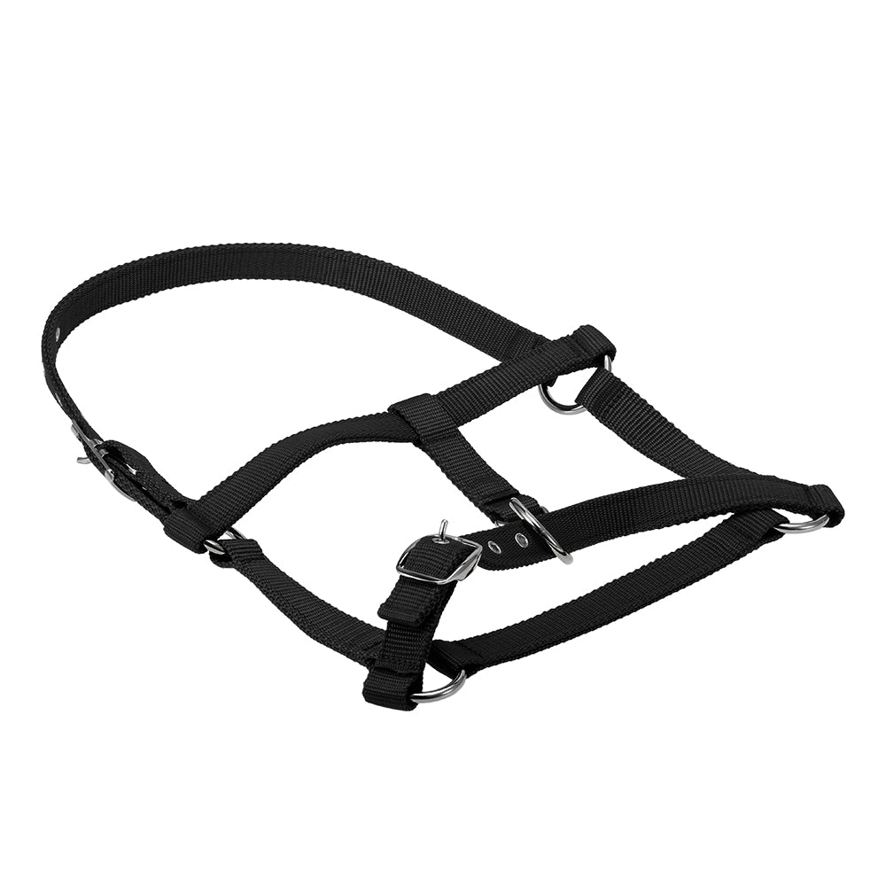6MM Thickened Horse Head Collar Adjustable Safety Halter Bridle Headcollar