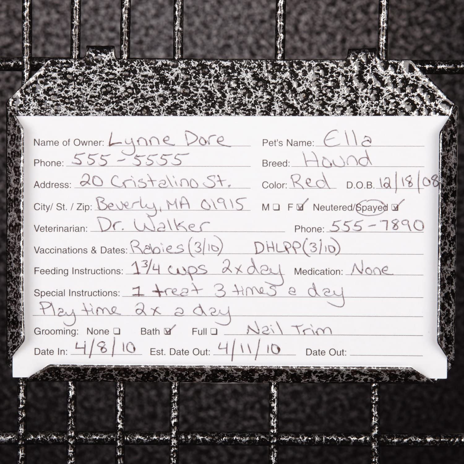 Pet Pals ZW5202 24 17 ProSelect Modular Kennel Cage Sm Graphite