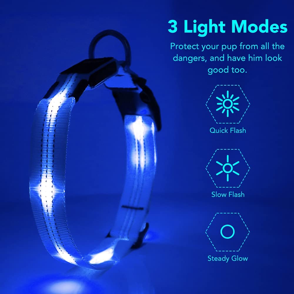 Bseen LED Dog Collar - Light up Dog Collar USB Rechargeable for Night Dog Walking(Blue， Large)