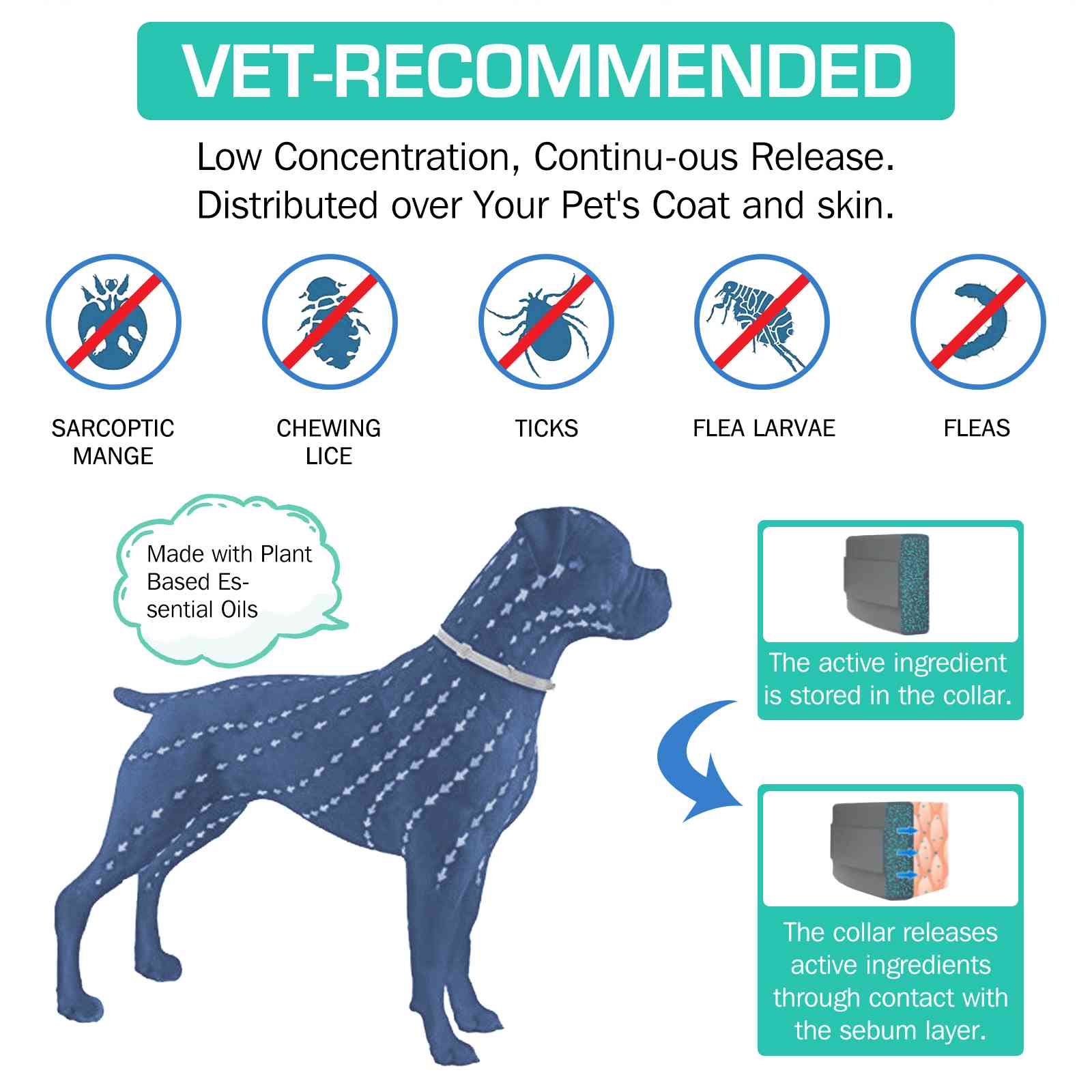 UrbanX Natural Ingredients， Flea and Tick Prevention and Treatment Collar for Collie and Other Large Size Herding Dogs Dogs. Waterproof and Adjustable.