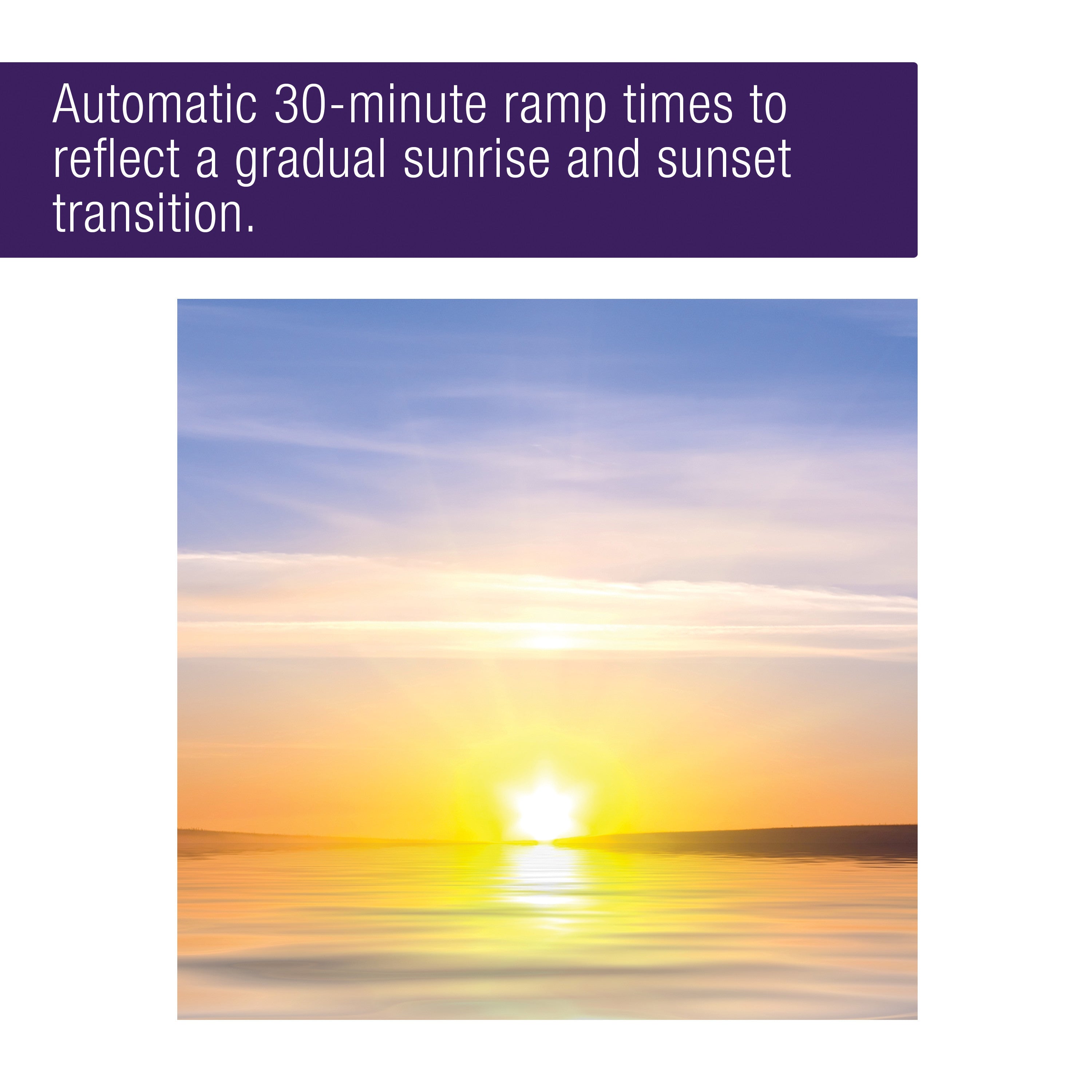 Coralife Aqualight Mini Aquarium LED Light Fixture