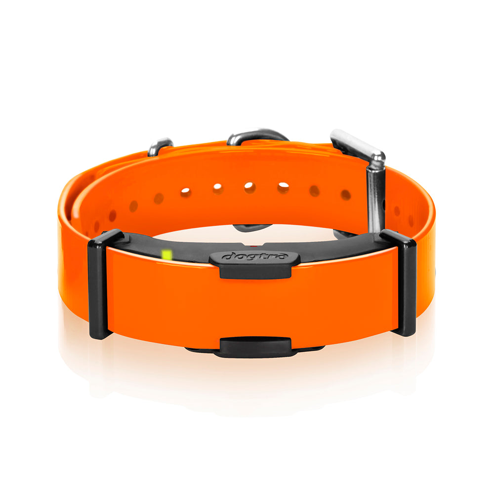 Dogtra ARC Remote Dog Training Collar Additional Receiver Slim Ergonomic 3/4-Mile Range