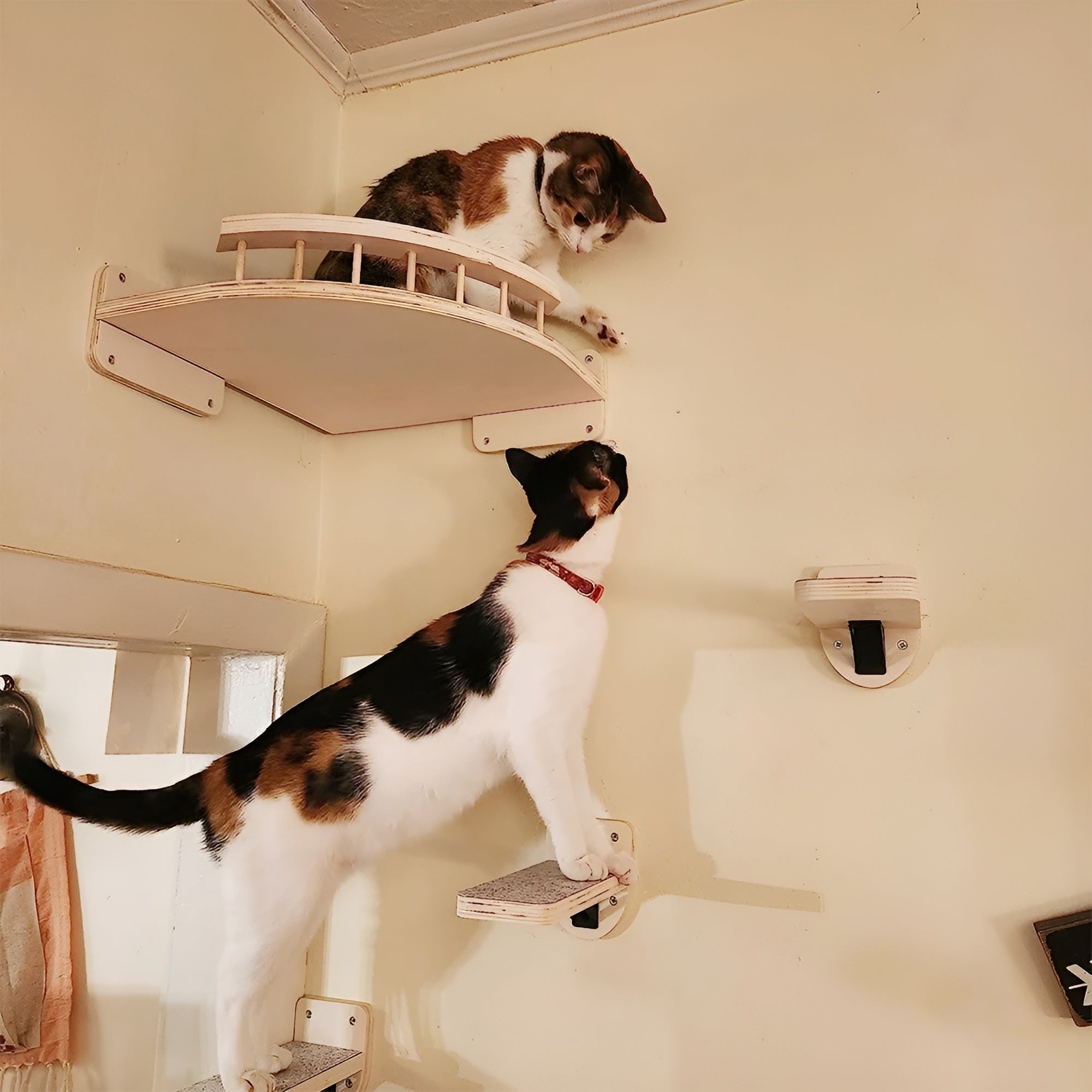 PurrMount Board | Wall-Mounted Cat Climbing Shelf with Scratching Post