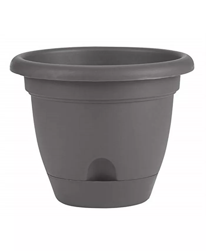 Bloem LP06908 Lucca Self-Watering Planter w  easy access spout， Charcoal 6 inches