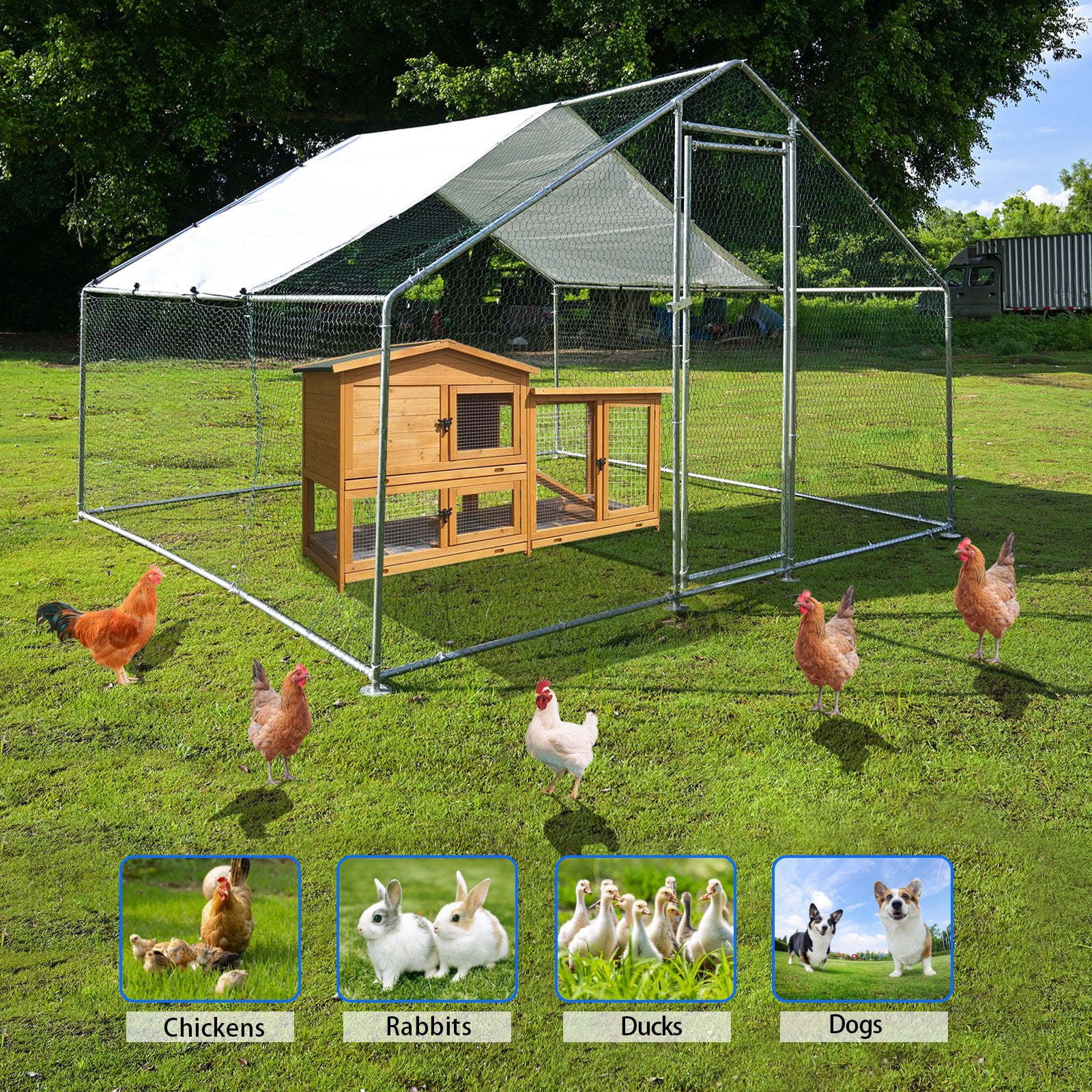 Large Metal Chicken Coop Walk in Hen Run Farm Cage 10ft*10ft