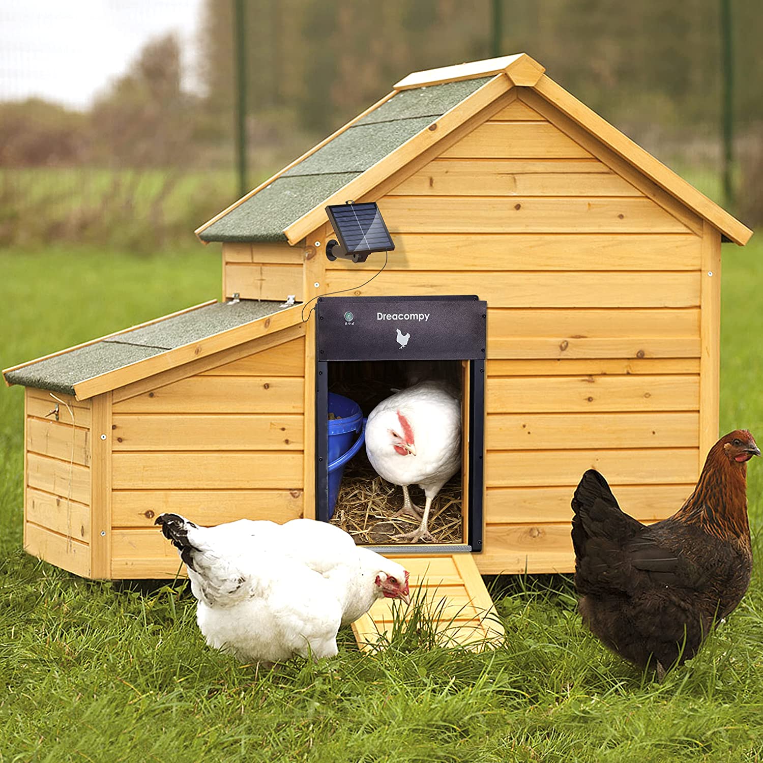 Dreacompy Automatic Chicken Coop Door Solar Powered All Aluminum Alloy Roller Blind Design Anti-Pinch Program Manual Switch Light Sensor， D50 Brown