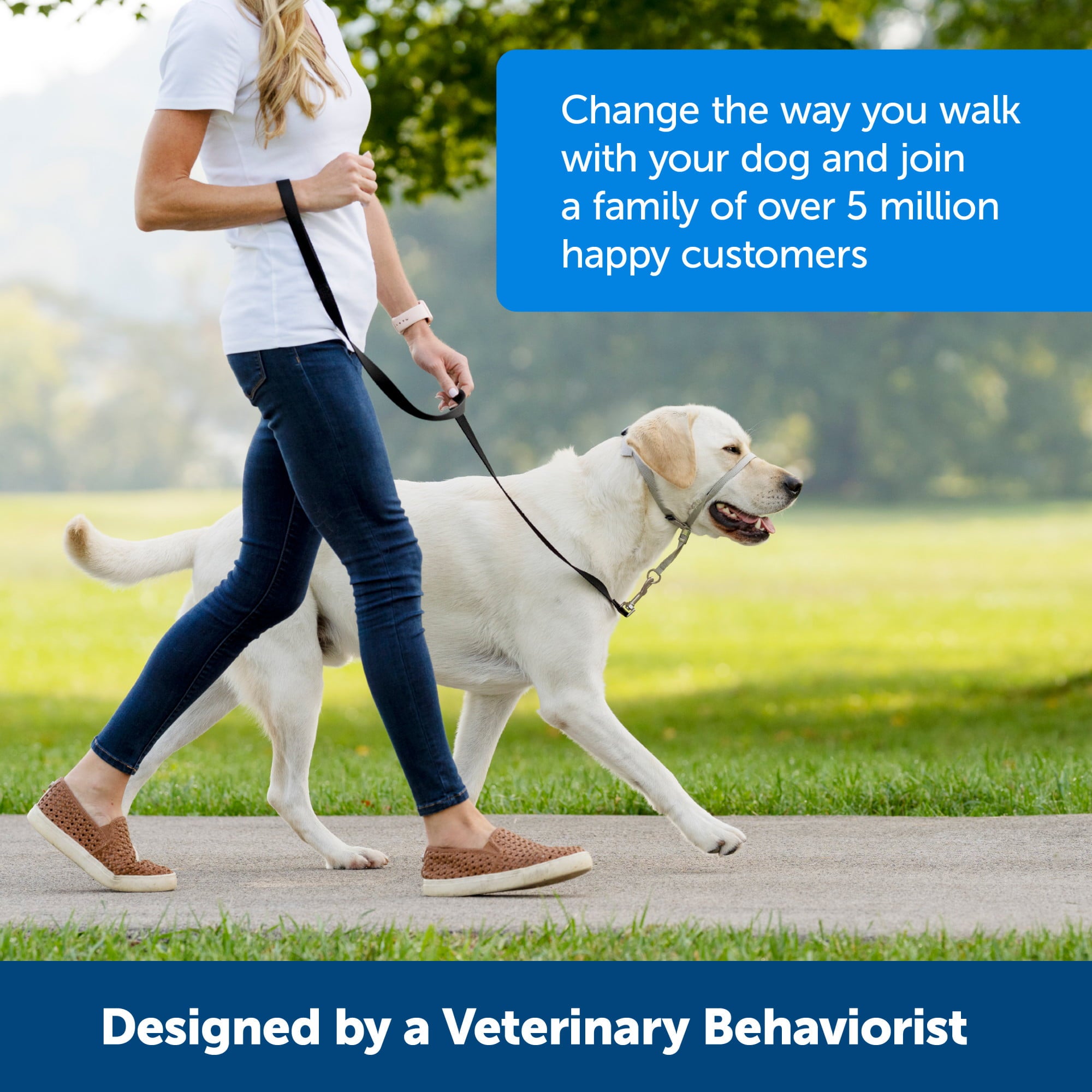 PetSafe Gentle Leader Headcollar， No-Pull Dog Collar， Medium 25-60 Lb.， Raspberry