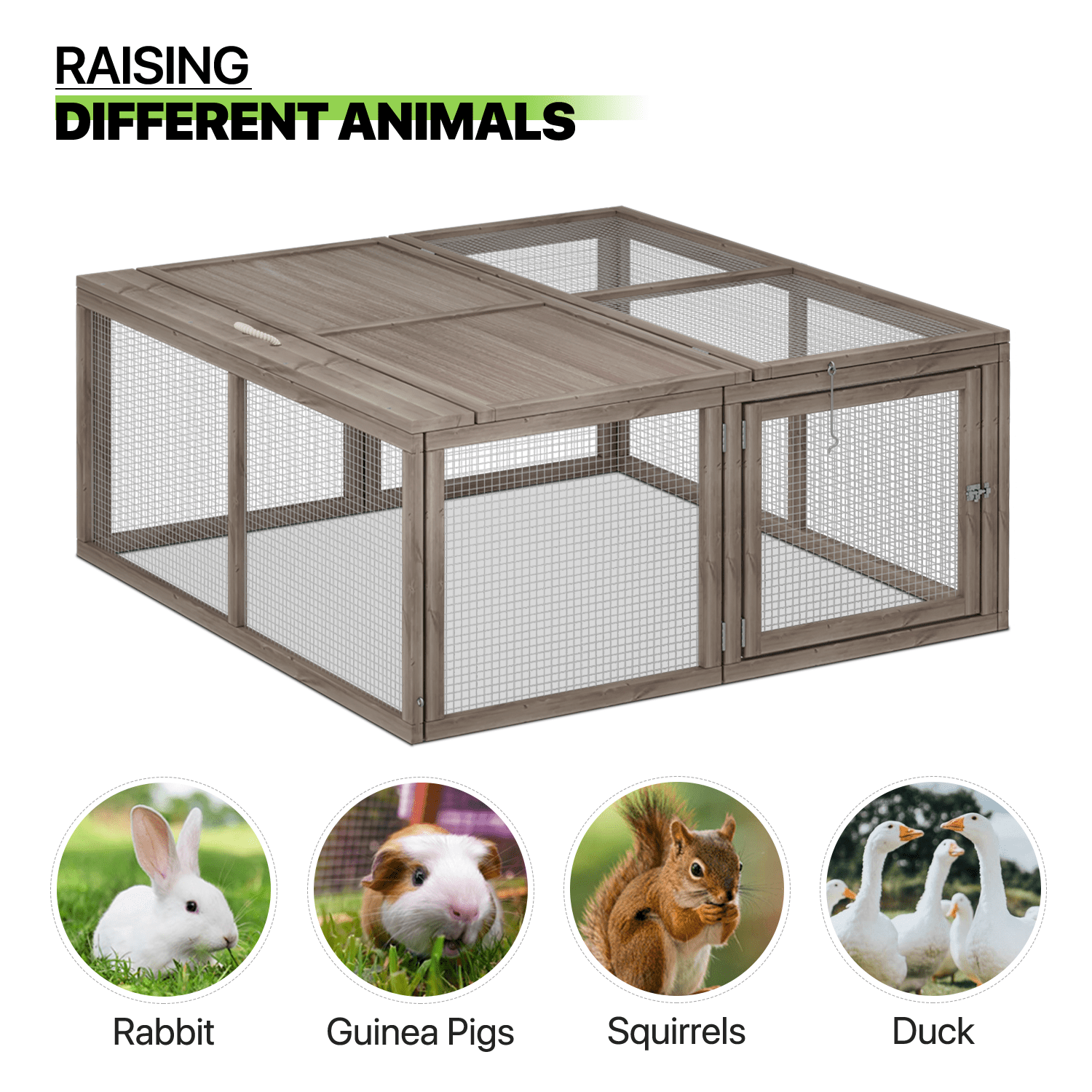 Magshion Chicken Coop Rabbit Hutch， 45.5