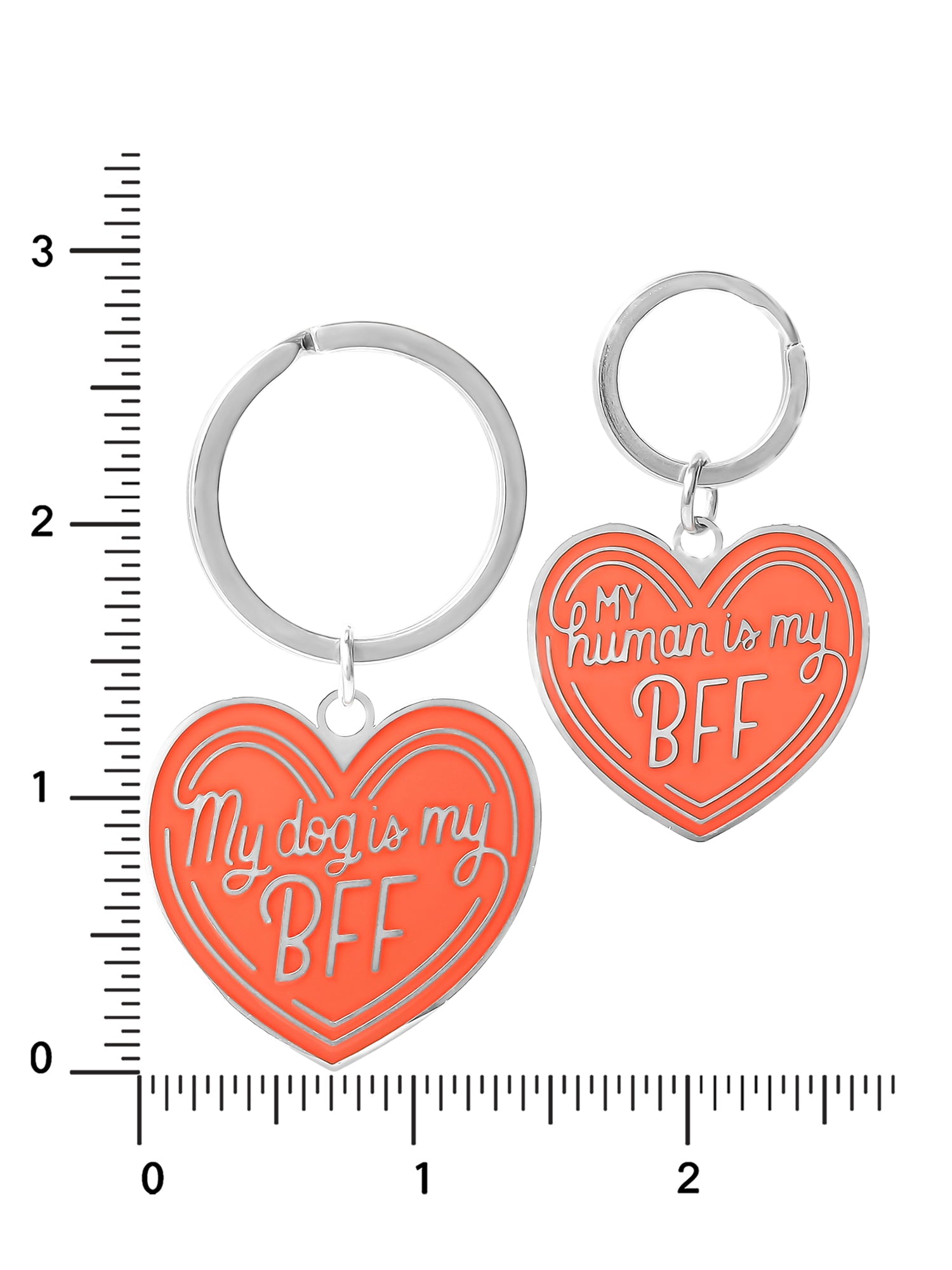 Connections from Hallmark Stainless Steel Dog BFF Tag and Keychain Set