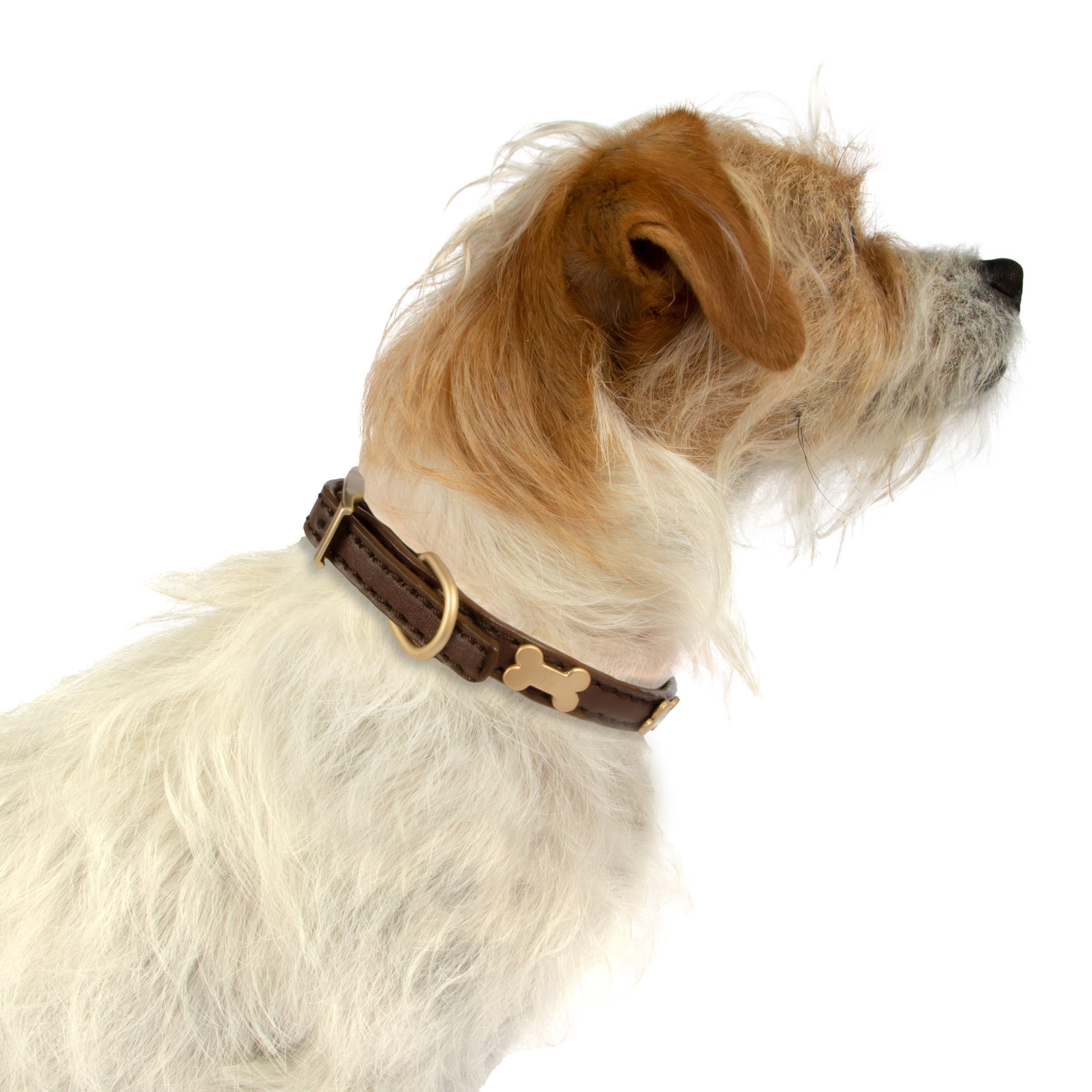 House of Barker， Bone and Stud， Vegan Leather Buckle Dog Collar， Brown