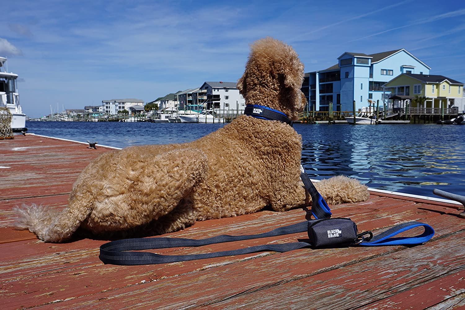 Black Rhino - The Comfort Collar Ultra Soft Neoprene Padded Dog Collar for All Breeds - Heavy Duty Adjustable Reflective Weatherproof (Large， Blue/Grey)