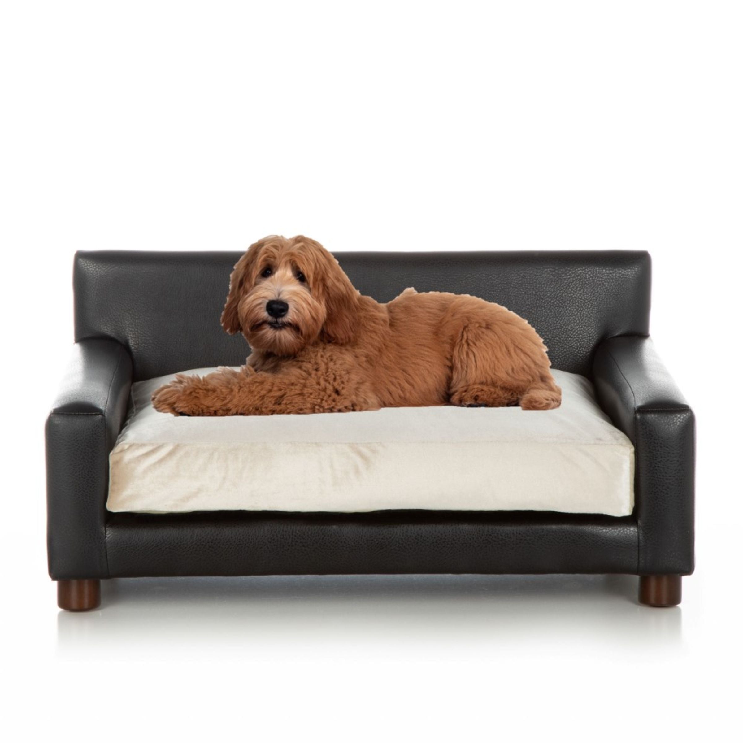 Club Nine Pets Metro Orthopedic dog Bed Large， Tan.