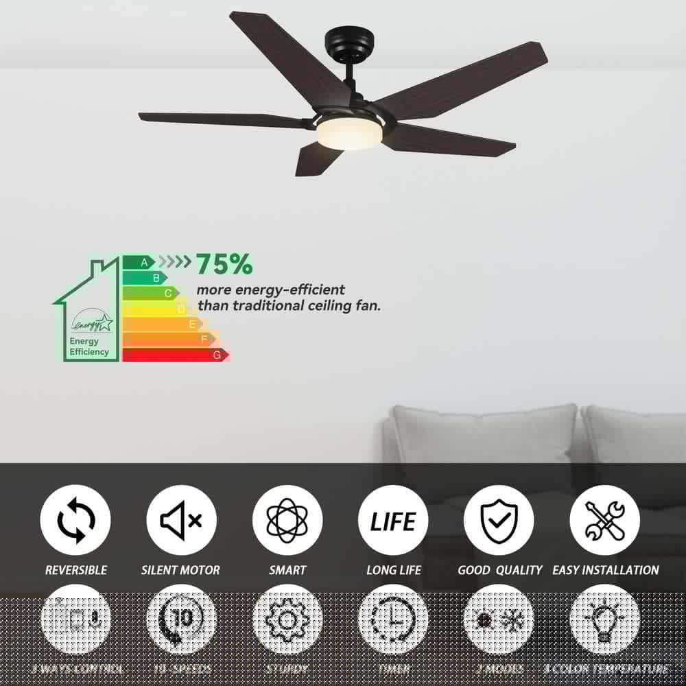 CARRO Voyager 52 in Dimmable LED IndoorOutdoor Black Smart Ceiling Fan with Light and Remote Works wAlexaGoogle Home