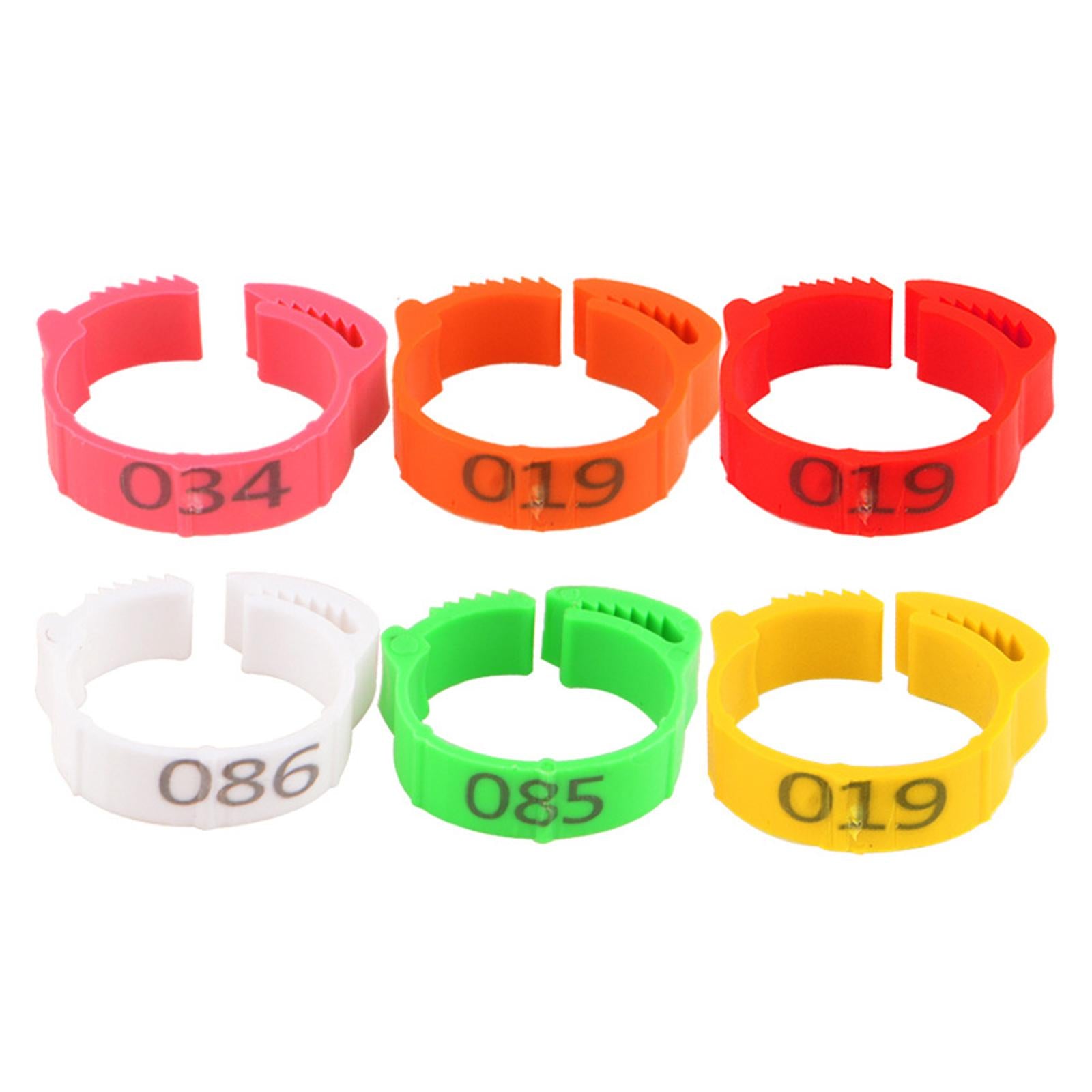 100PCS Colorful Poultry Leg Bands，Identification Finch Small Home Chicken Foot s，for ，Dove，Chicks，Bantam，Quail，Lovebirds - Rose Red， 2.8x2.6cm