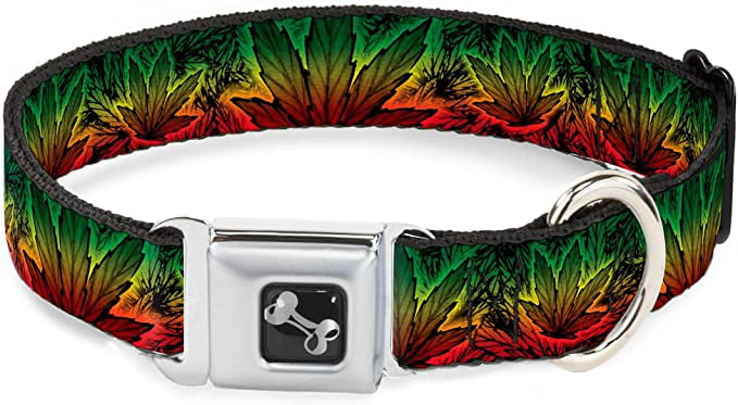 Buckle-Down Seatbelt Buckle Dog Collar - Marijuana Haze Rasta/Rasta - 1