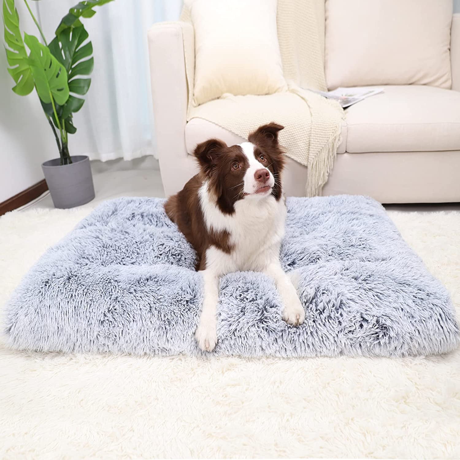 Large Dog Bed Anxiety Washable Cat Dog Mats Anti-Slip Bottom Large 44''×30'' Pet Beds