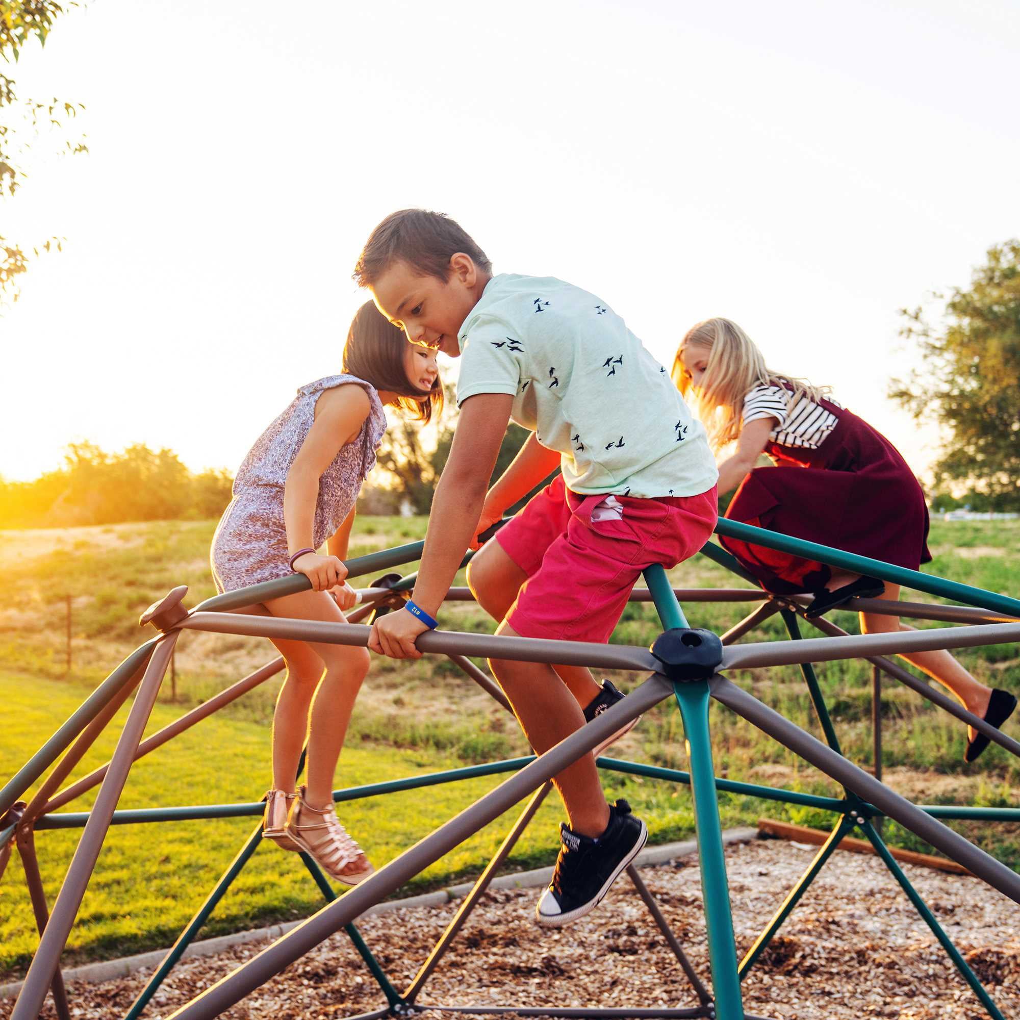 Lifetime Dome Climber (Earthtone w/canopy)， 90612