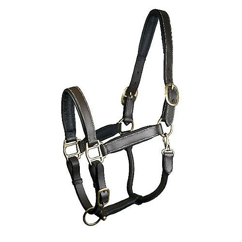 Gatsby Fully Adjust Padded Leather Halter Ovrsze