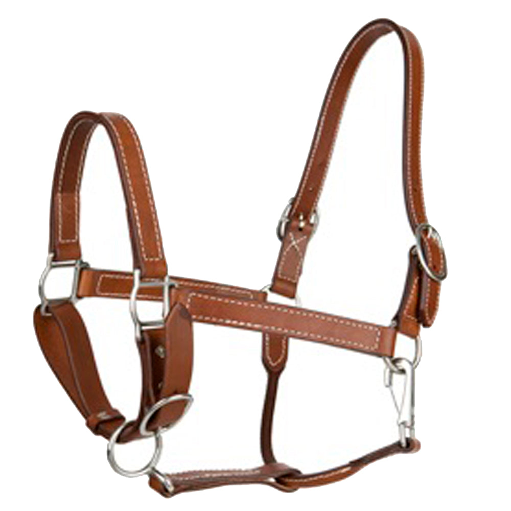89AI 1 Inch Hilason Leather Horse Halter Double Stitched Stainless Steel Brown