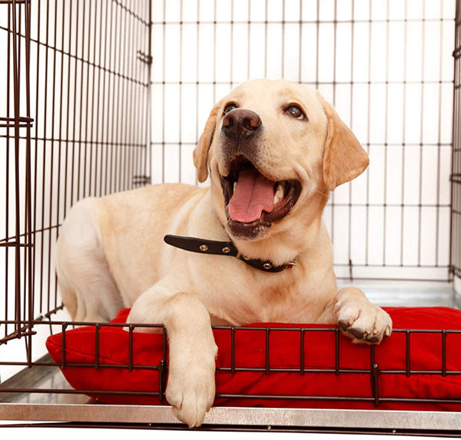 Large Dog Crate Tray 47