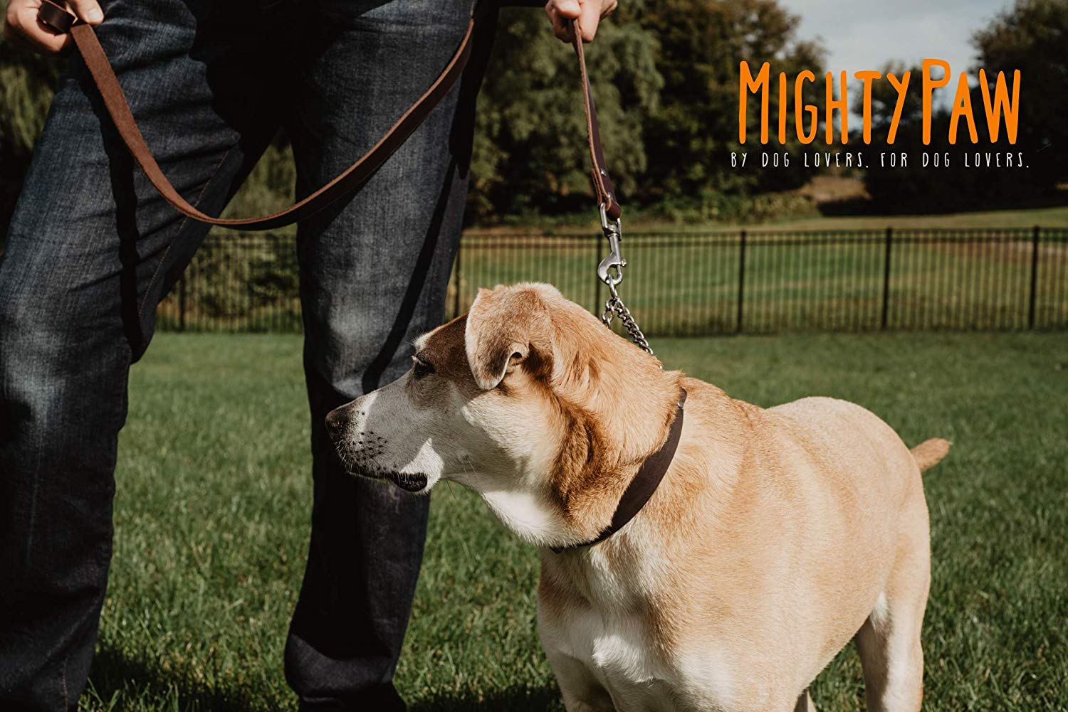 Mighty Paw Leather Training Collar， Martingale Collar， Stainless Steel Chain - Limited Chain Cinch Collar