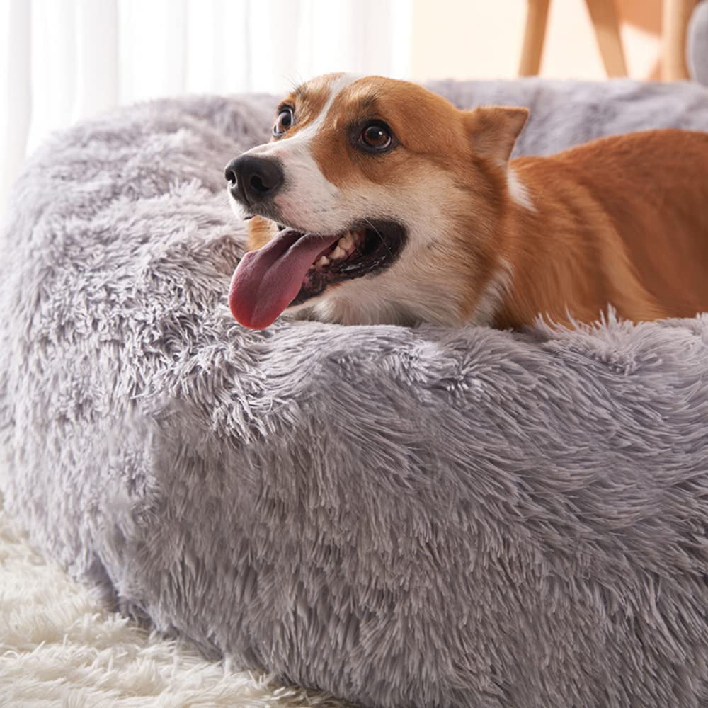 Rectangle Plush Dog Bed Cat Beds for Small Dogs，Washable Medium Pet Beds Medium（26x22x7in，Under 25 lbs）， Lightgrey