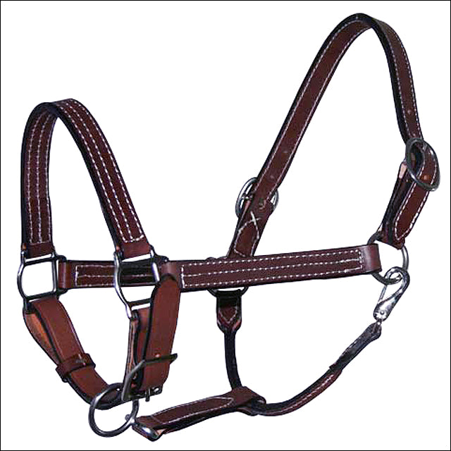89AI 1 Inch Hilason Leather Horse Halter Double Stitched Stainless Steel Brown