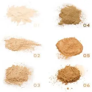 6 shades Matte Finishing Makeup Translucent Loose Setting Powder