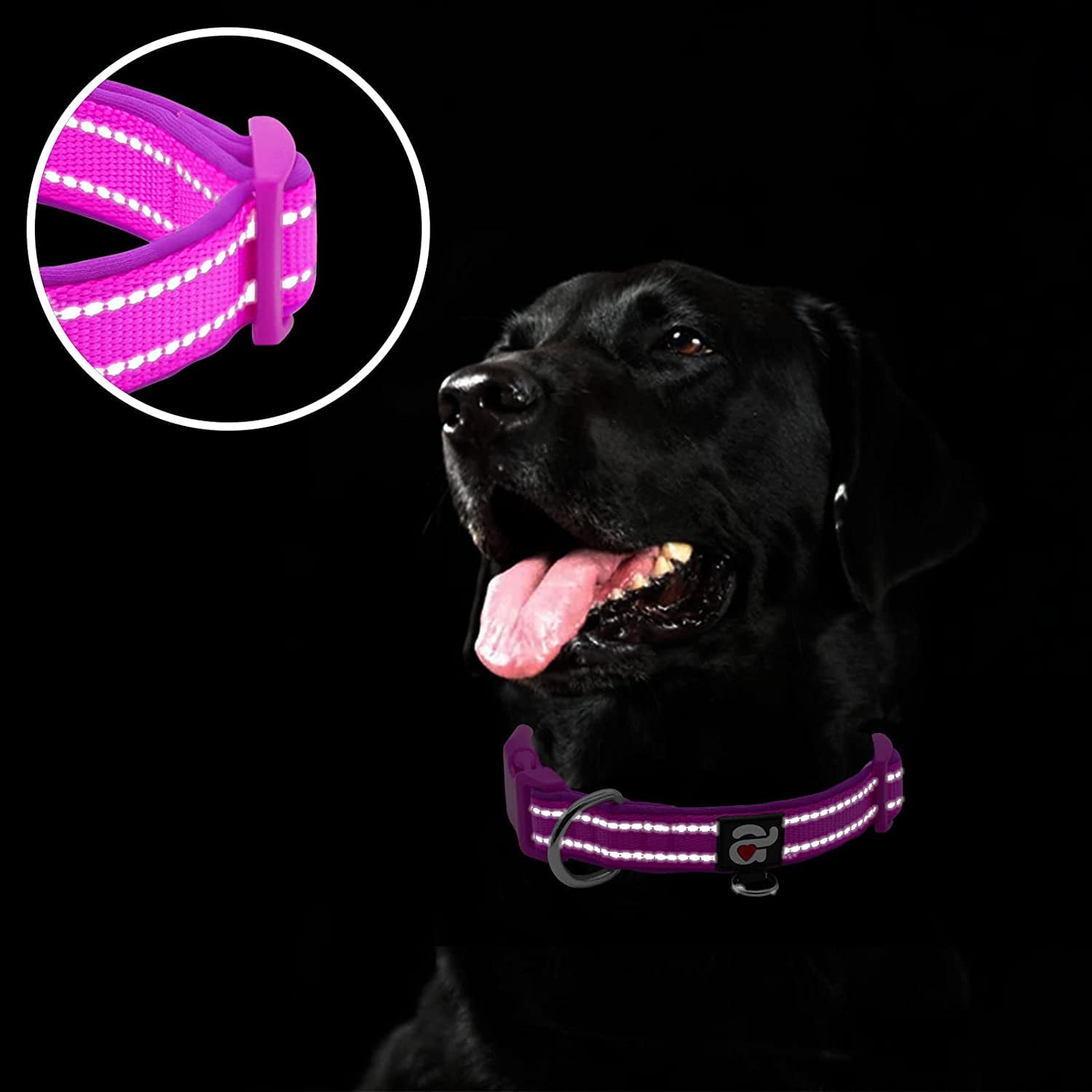 azuza Reflective Dog Collar Super Soft Neoprene Padded Dog Collars with ID Tag Ring for Small Medium Large Dogs