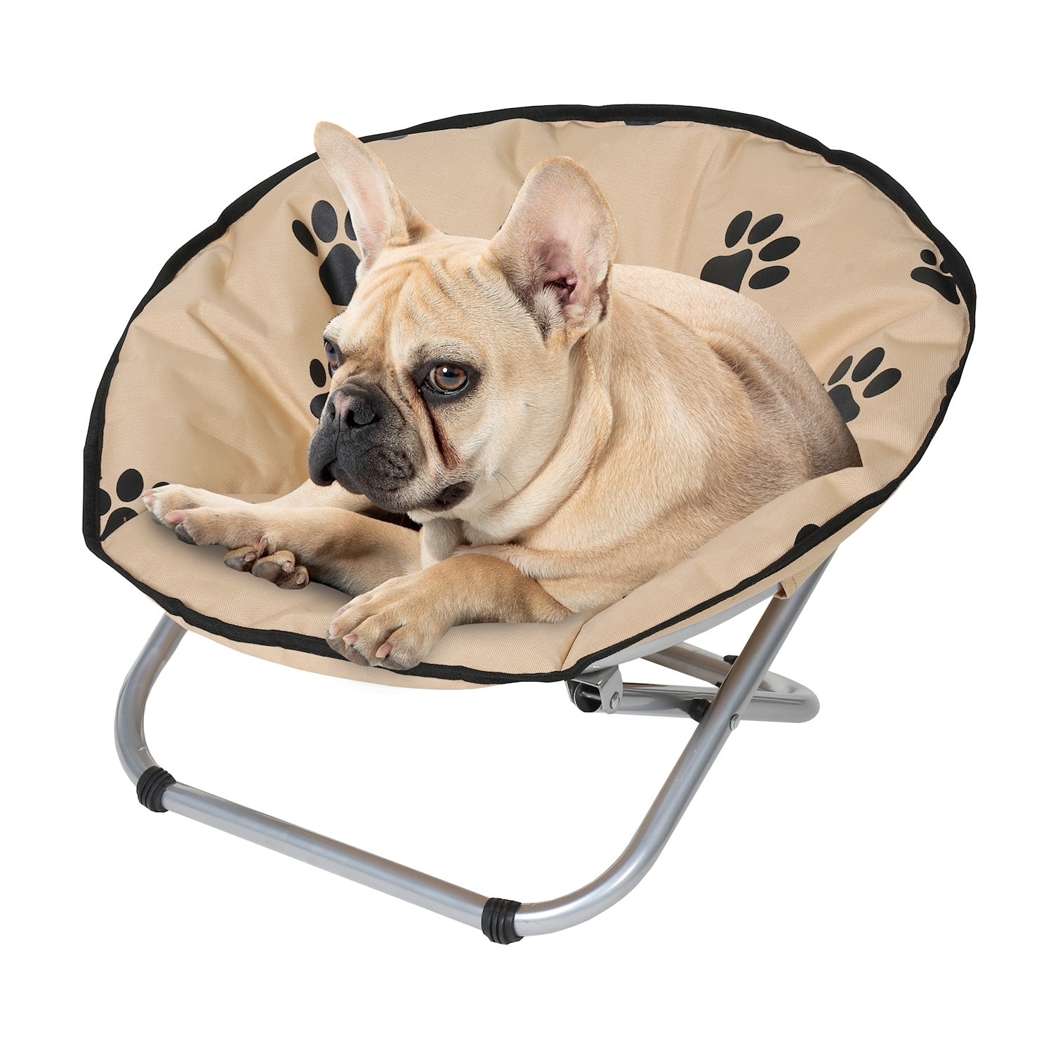 Folding Pet Cot Chair - Elevated Cat Bed， Paw Print Papasan Chair