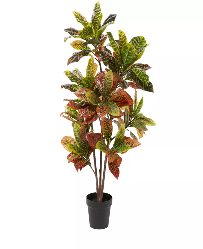 Rosemary Lane Traditional Croton Artificial Plant， 50