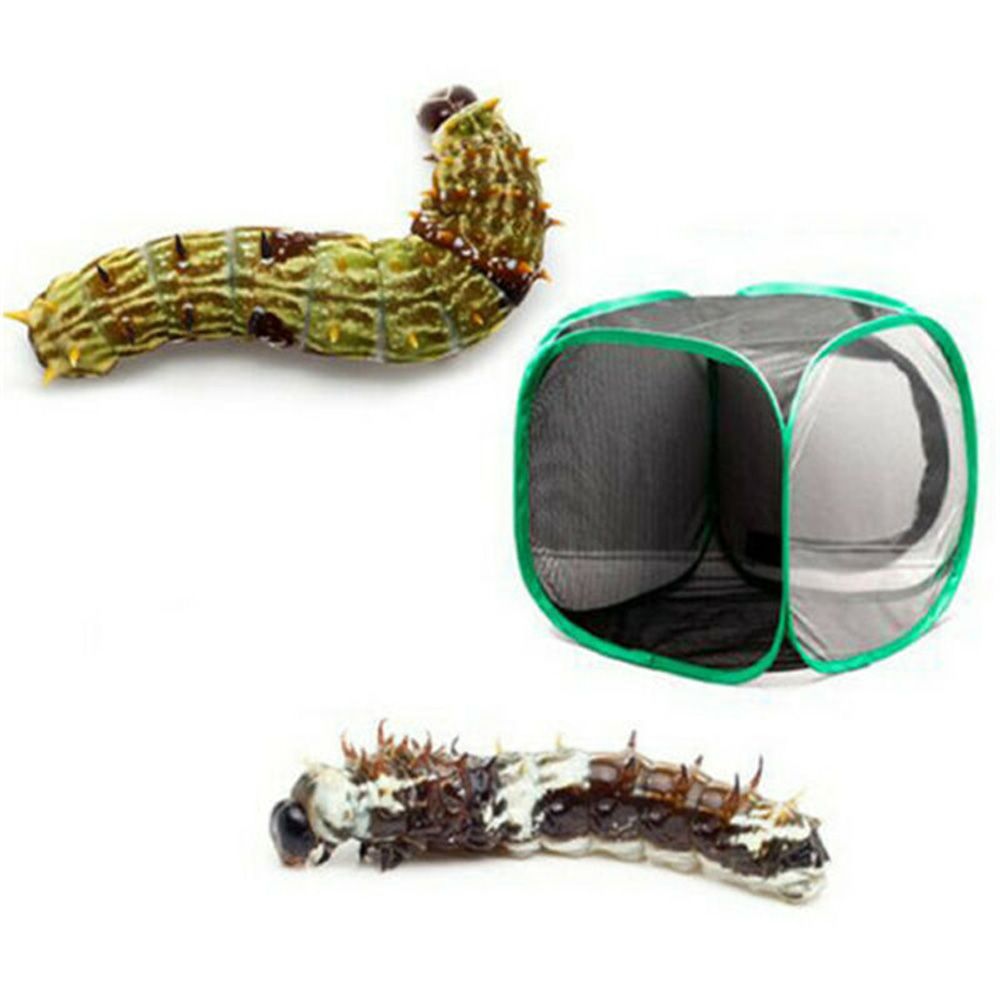 Portable Proof Ant Pet Supplies Seedling Housing Enclosure Incubator Mantis Butterfly Box Mesh Cage Insect Cage Habitat Cage WHITE 40 X 40 X 60