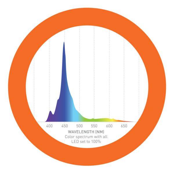 SKY LED Aquarium Light - Neptune Systems