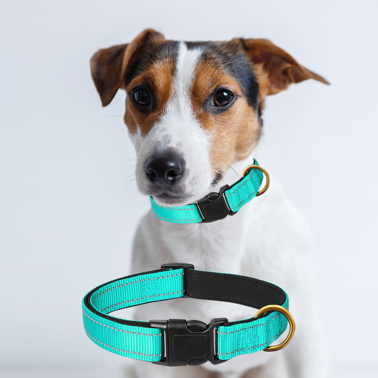 CHBORLESS Reflective Dog Collar Soft Comfortable Pet Puppy Collars