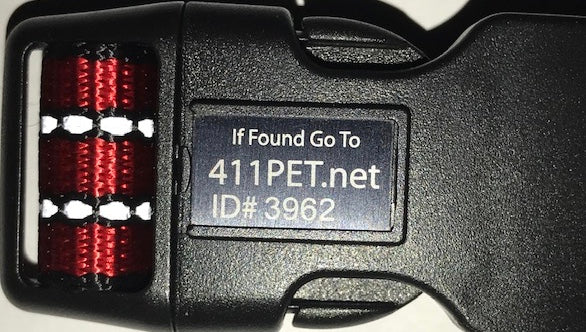 Blue Frog Track N Guard Protective GPS Tracking Dog Collar， Rose Gold， Large