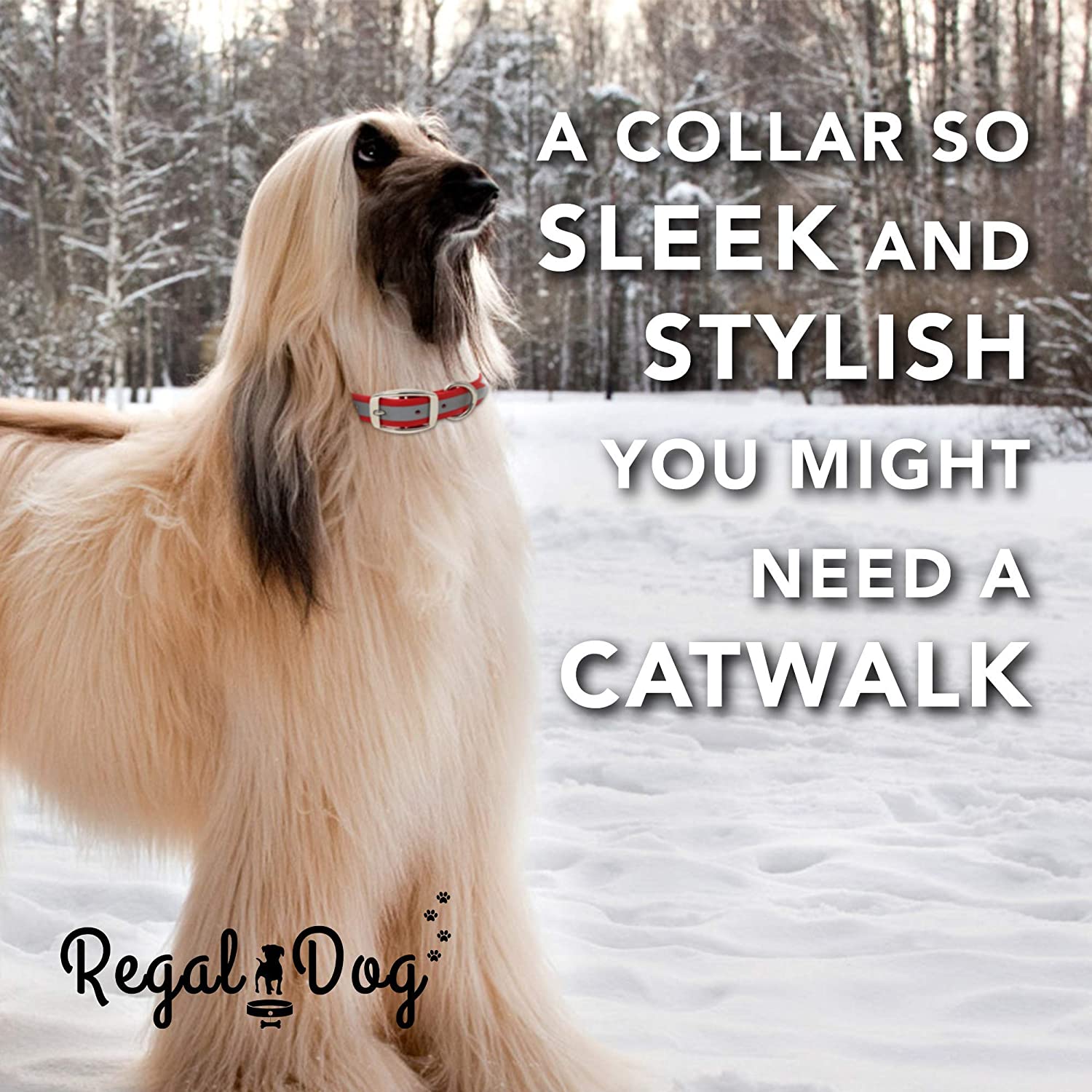 Heavy Duty Reflective Dog Collar – Adjustable Dog Collar with Durable Metal Buckle and D Ring， Chew Resistant Waterproof Dog Collar