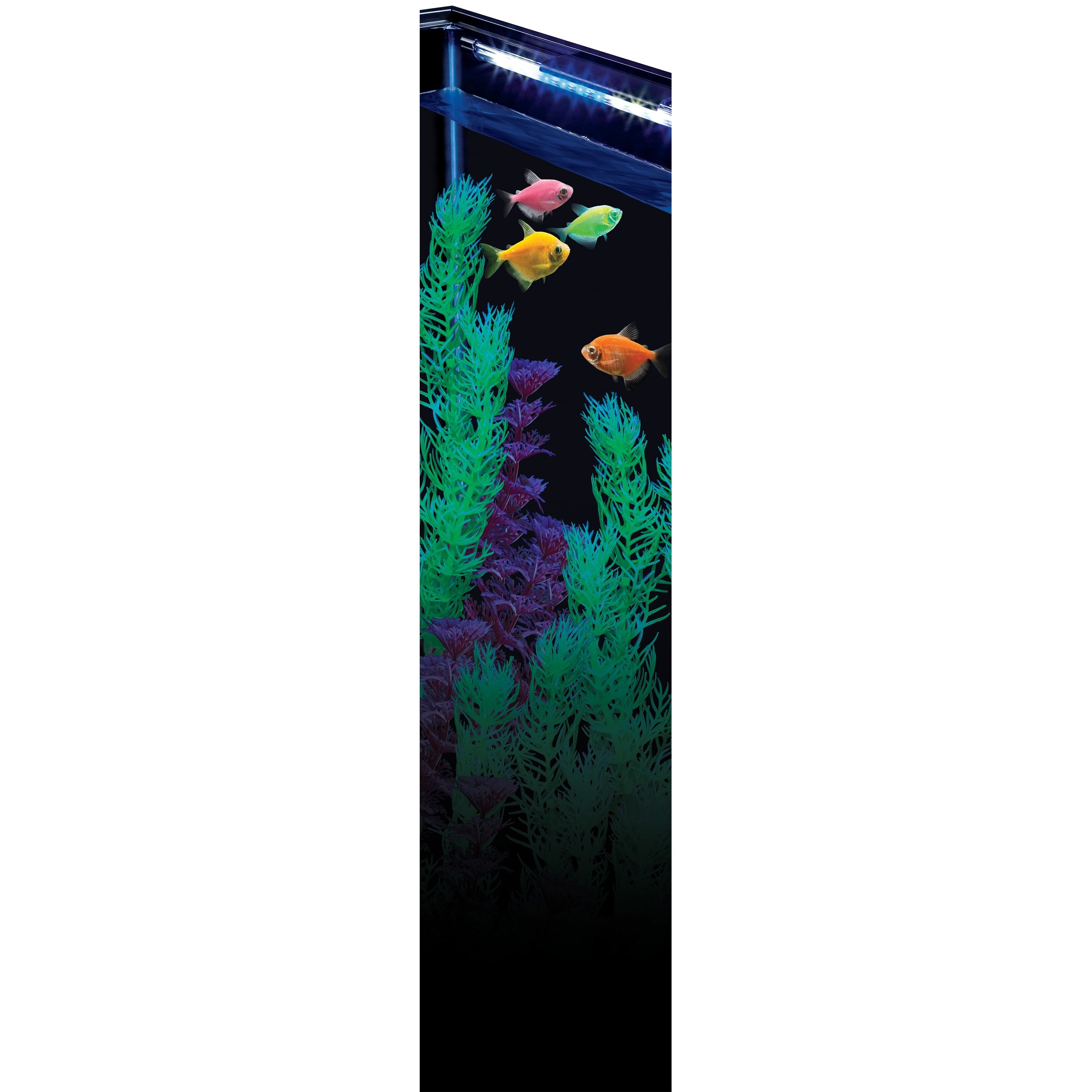 GloFish LED Light 10 Gallons， Blue and White LED Lights， for Aquariums up to 10 Gallons
