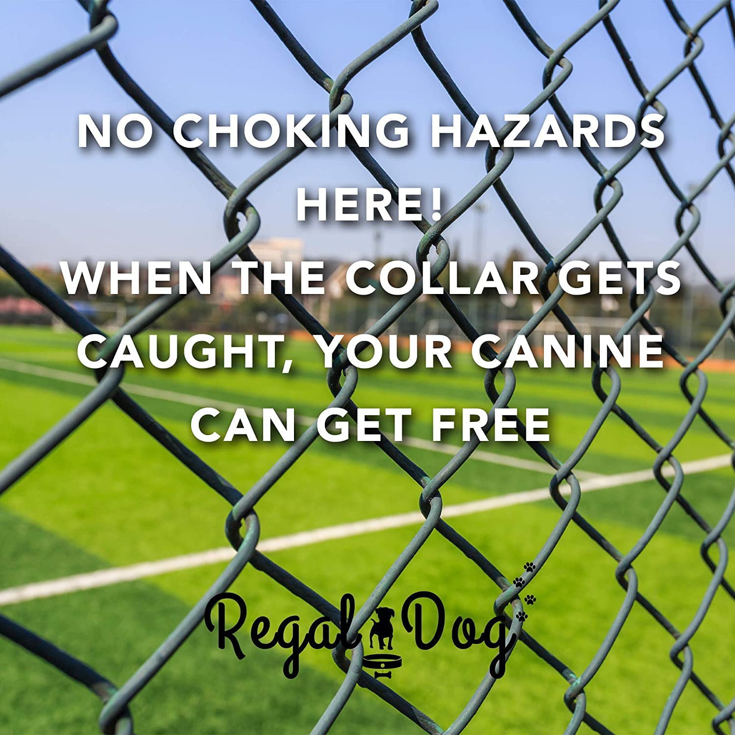 Heavy Duty Reflective Dog Collar – Adjustable Dog Collar with Durable Metal Buckle and D Ring， Chew Resistant Waterproof Dog Collar