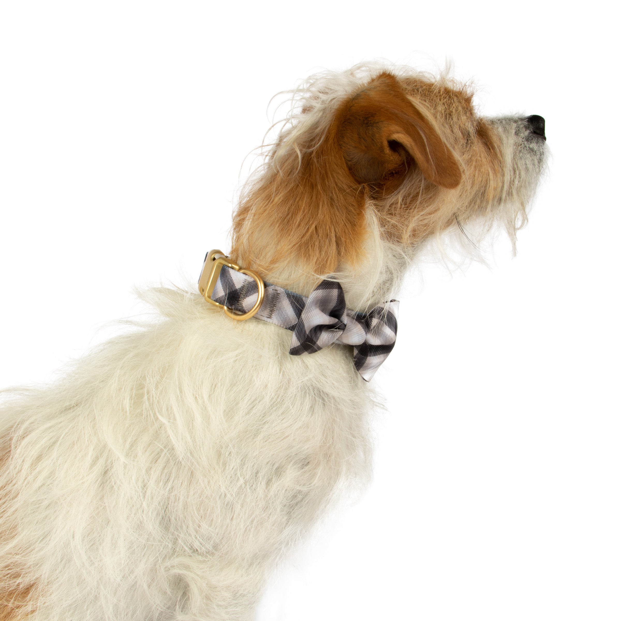 House of Barker， Plaid Bow Fashion Dog Collar and Leash Set， Gray