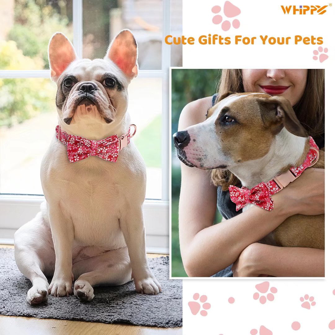 WHIPPY Dog Collar with Bowtie， Adjustable Girl Dog Collar for Small Medium Large Dogs