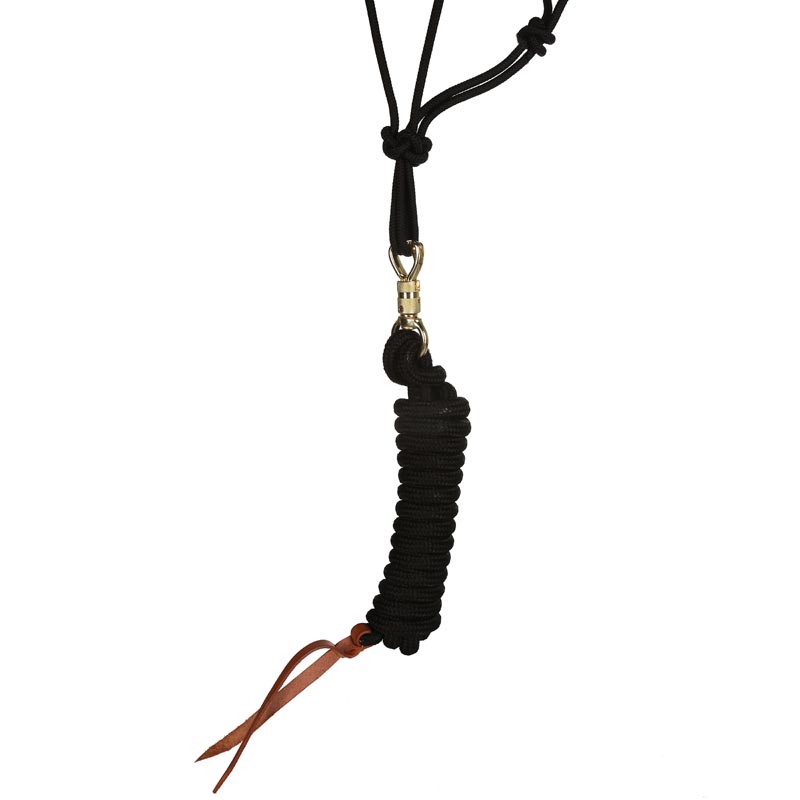 Training Poly Rope Horse Halter with Horsemanship Lead