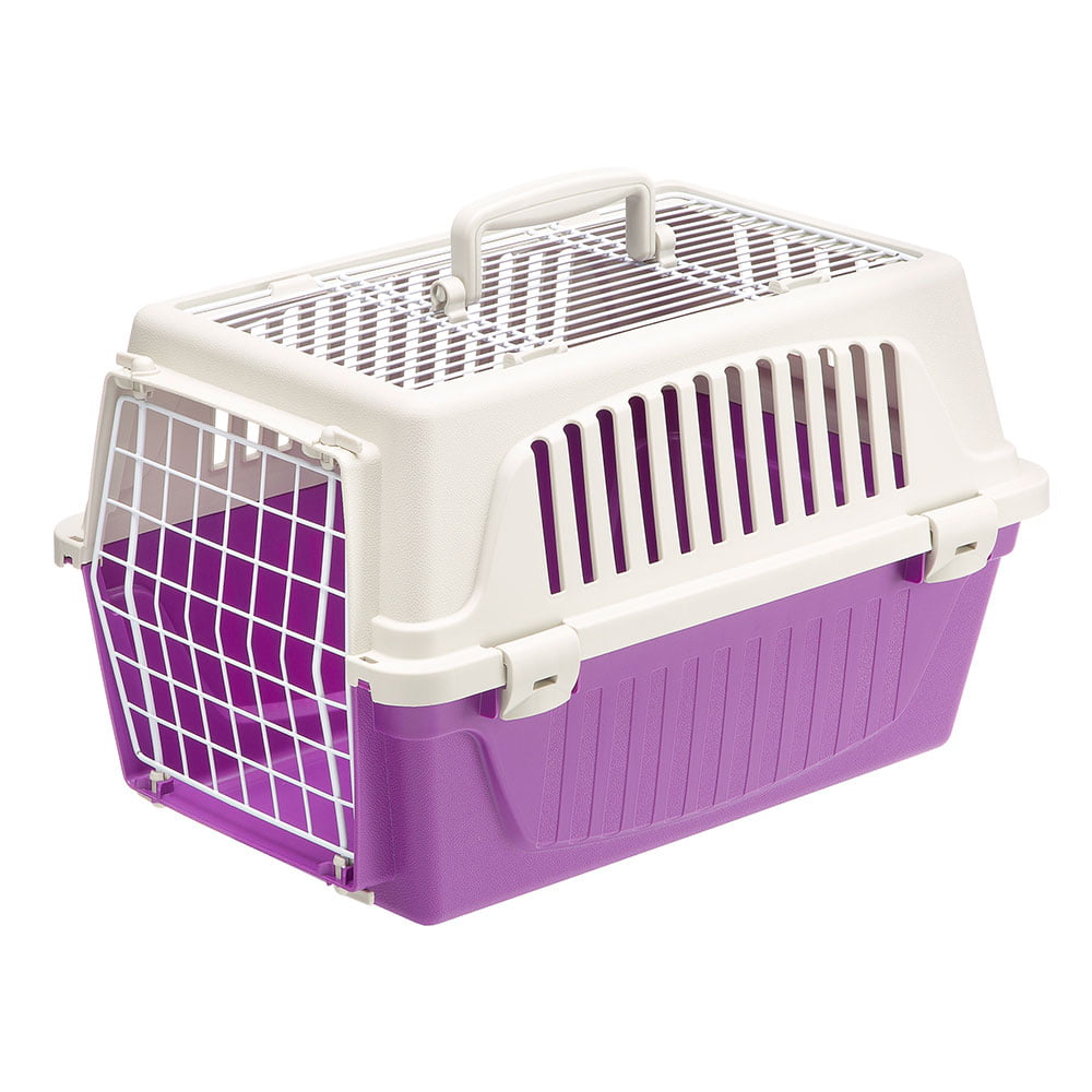 ATLAS Two Door Top Load Plastic Kennel and Pet Carrier， Purple 19-Inch